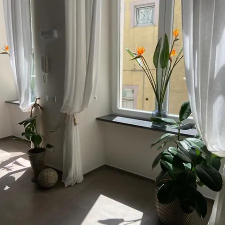 Coreammare ナポリ